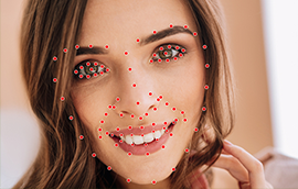 长运平台人脸关键点标注